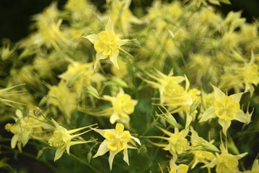 Similar image 21979003