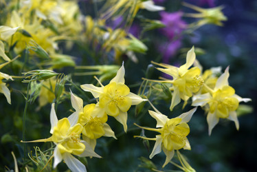 Similar image 21979004