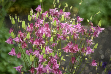 Similar image 21979005