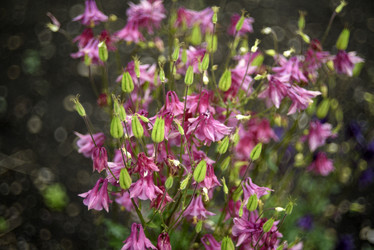 Similar image 21979006