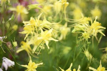 Similar image 21979007