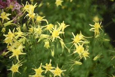 Similar image 21979008