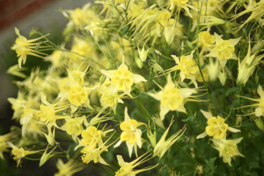 Similar image 21979009