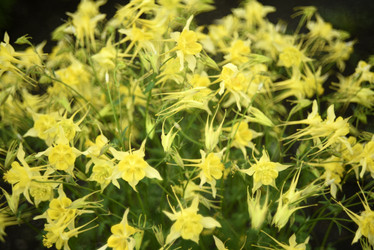 Similar image 21979010