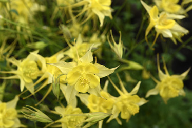 Similar image 21979011