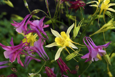 Similar image 21979012