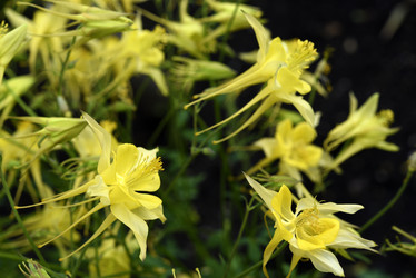 Similar image 21979013