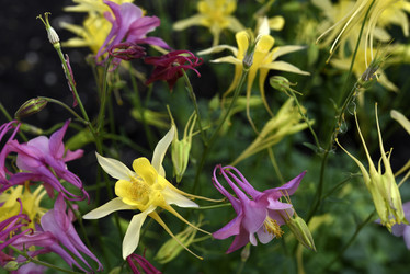 Similar image 21979014