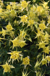 Similar image 21979016