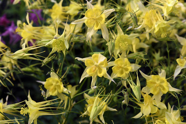 Similar image 21979017