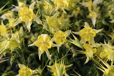 Similar image 21979018