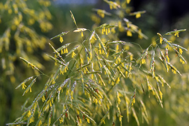 Similar image 21979019