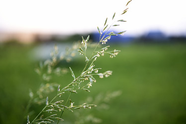 Similar image 21979020