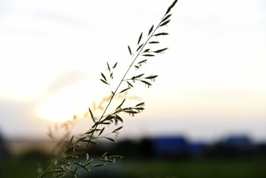 Similar image 21979021