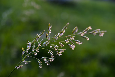 Similar image 21979022