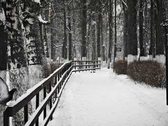 Similar image 21978552