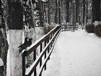 Similar image 21978553