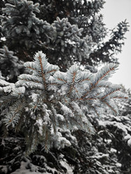 Similar image 21978555