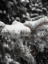 Similar image 21978556