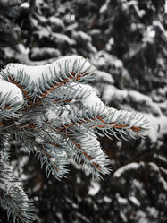 Similar image 21978557