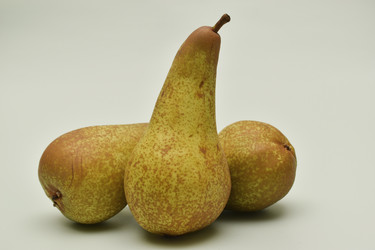 Similar image 21979023