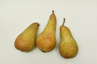 Similar image 21979024