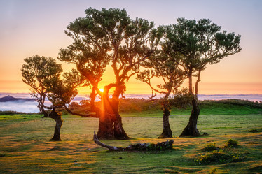 Similar image 21980207