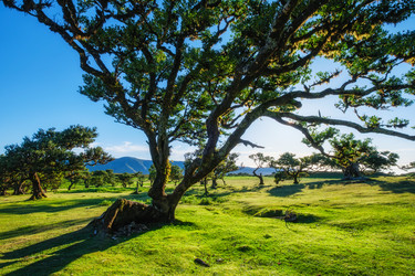 Similar image 21980210