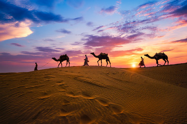 Similar image 21980214