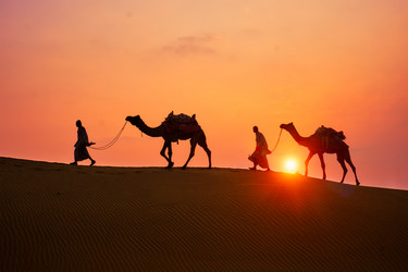 Similar image 21980217