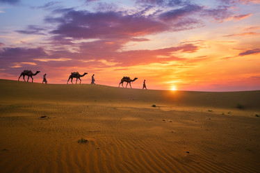 Similar image 21980218