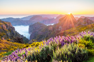 Similar image 21980219