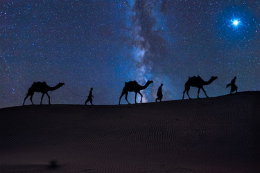 Similar image 21980220