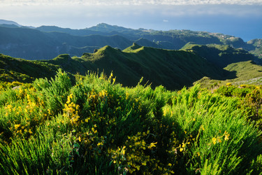 Similar image 21980222