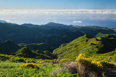 Similar image 21980226