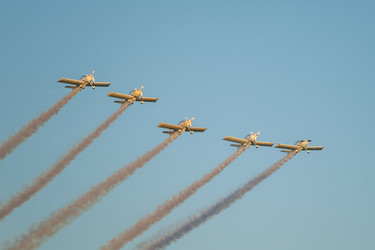 Similar image 21980229