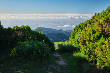 Similar image 21980230