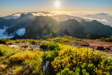 Similar image 21980255