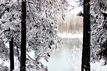 Similar image 21979904