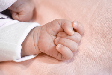 Similar image 21978855