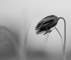 Similar image 21979213