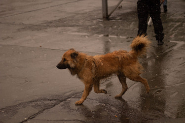 Similar image 21978577