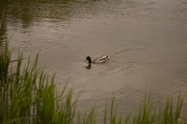 Similar image 21978578