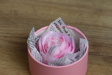 Similar image 21979967