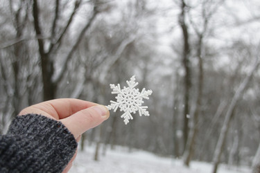 Similar image 21989043