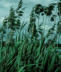 Similar image 21986014