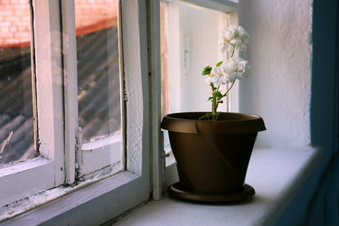 Similar image 21986021