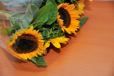 Similar image 21979999