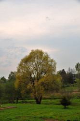 Similar image 21980000