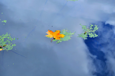 Similar image 21980004